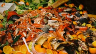 $1 Trillion Worth of Food Is Wasted Globally per Year, UN Report Finds