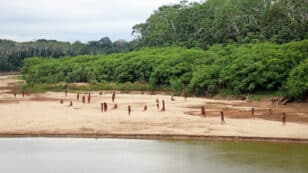 New Images Show Largest Uncontacted Indigenous Tribe on Earth Dangerously Close to Loggers in Peruvian Amazon