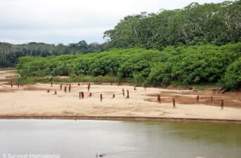 New Images Show Largest Uncontacted Indigenous Tribe on Earth Dangerously Close to Loggers in Peruvian Amazon