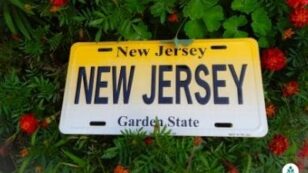 Compare New Jersey Electricity Rates (2024 Best Prices)