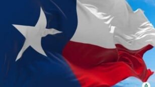 Texas Electricity Rates and Providers (July 2024)