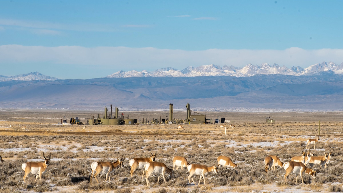 Drilling rigs on the Ultra Energy Field on Wyoming's public lands and pronghorn habitat