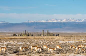 Conservationists to Be Blocked From Bidding on Oil and Gas Land Leases in Wyoming