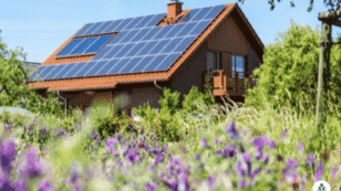 Your Guide to Solar Panels in Hawaii: 7 Steps to Solar Panels in Hawaii